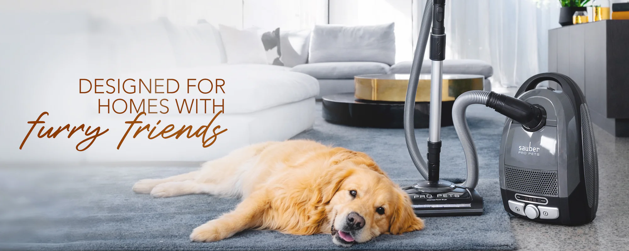 Master Every Surface with Ease